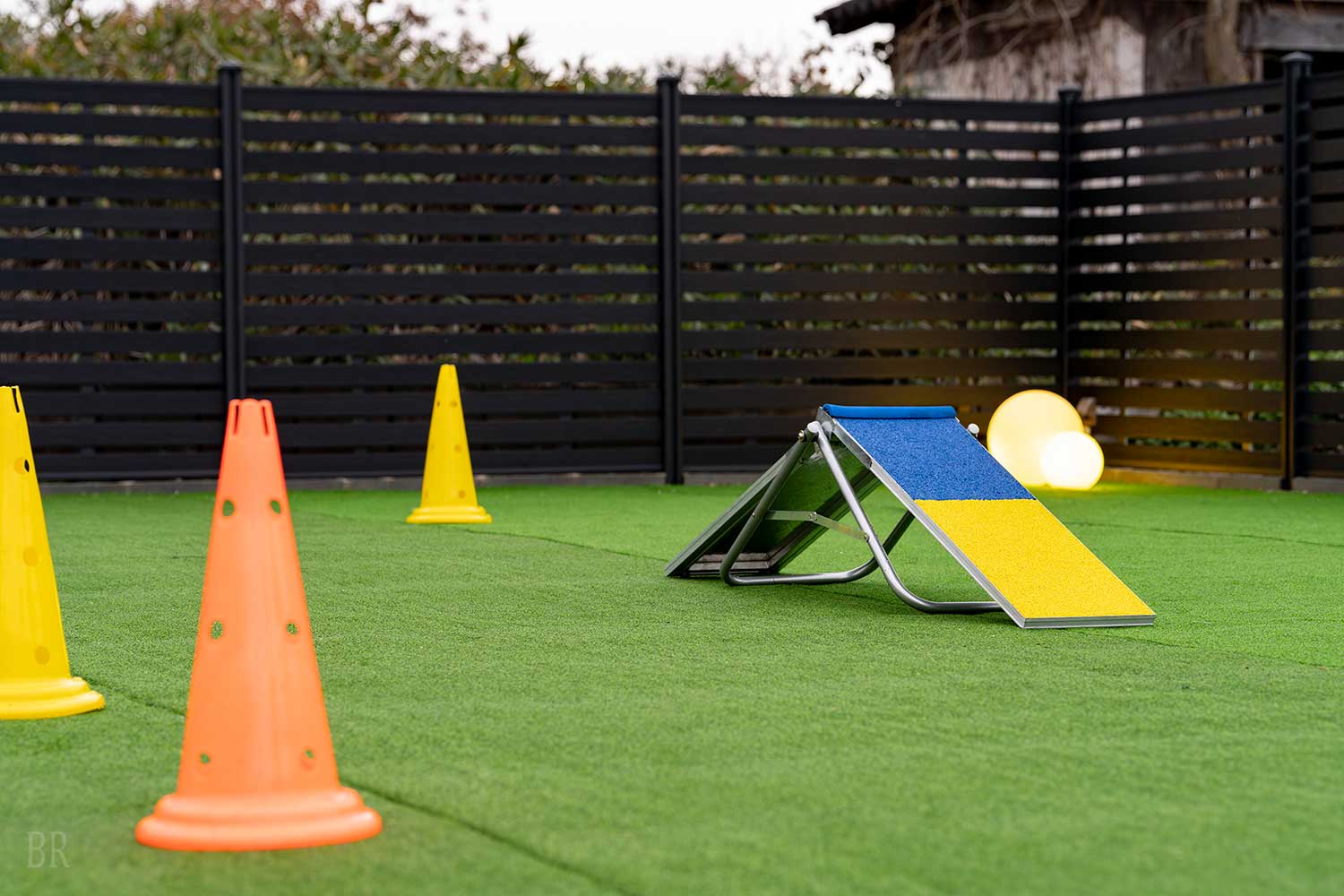 アジリティグッズ